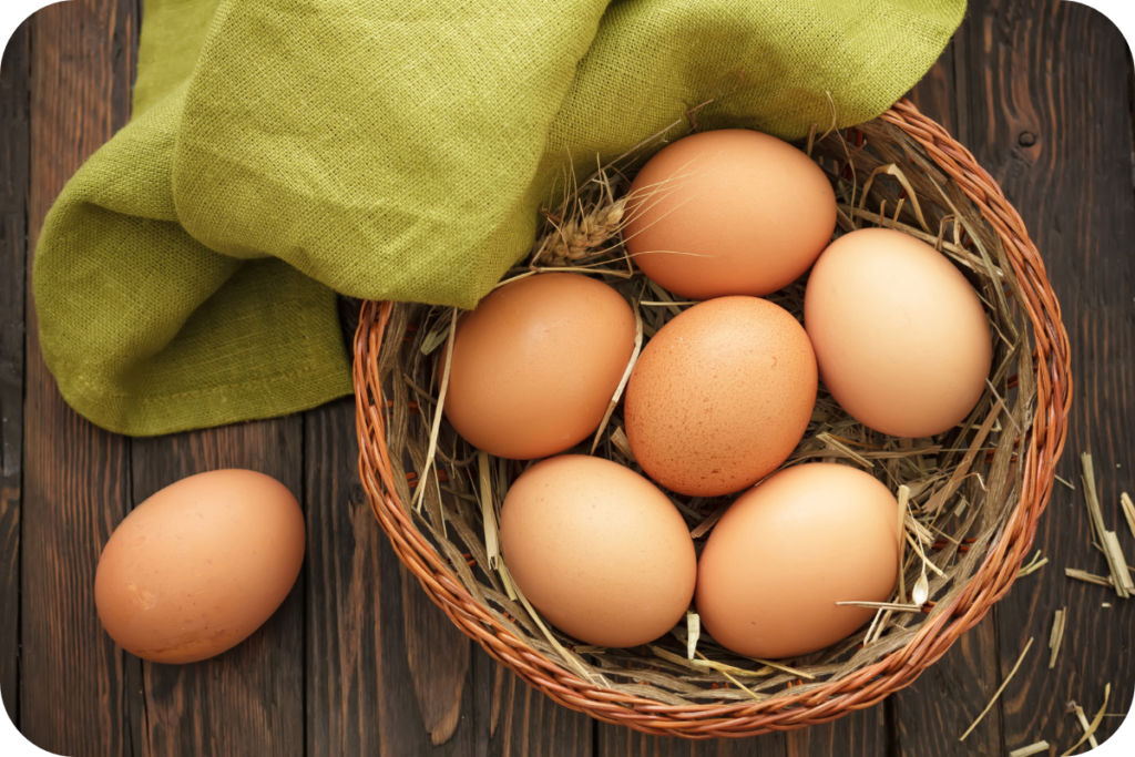 Weight loss protein foods