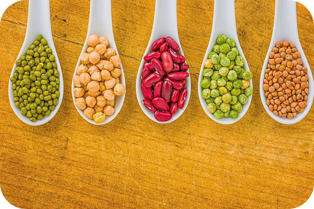 Weight loss protein foods