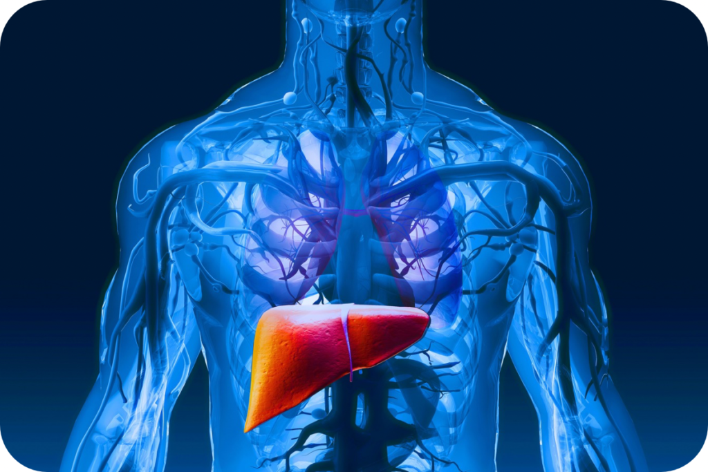 Detox your liver