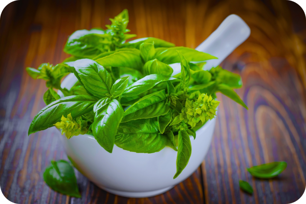 Home remedies for fever